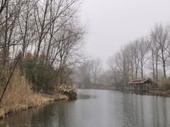 -溱湖国家湿地公园