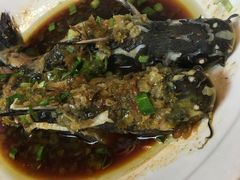 -漫渡庄绿岛花园•隐世庭园菜(滨湖店)