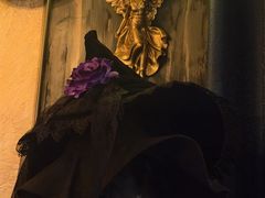 -雪灵魔法世界SHELLY’S TAROT(大良桂畔里店)