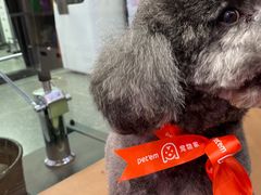 -宠物家(大兴旧宫店)