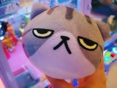 -汤姆熊欢乐世界(莘庄龙之梦店)