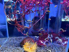 -海合安天津极地海洋公园