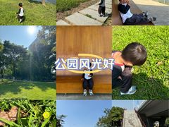 -怡海公园(桂城街道)