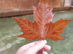 -春晖园度假酒店温泉