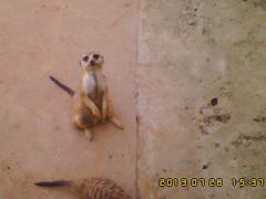 -石家庄市动物园