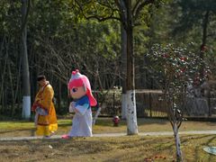 -常德桃花源景区