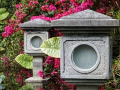 -深圳国际园林花卉博览园