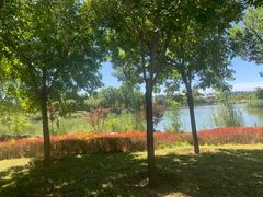 -马家湾湿地公园