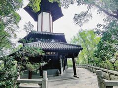 -上海佘山国家森林公园天马山园