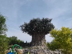-郑州银基国际旅游度假区
