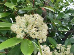 -长兴太湖图影湿地文化园