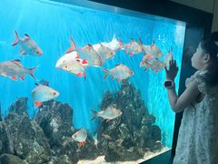-海合安武汉极地海洋公园