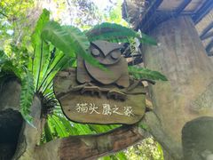 -青青世界