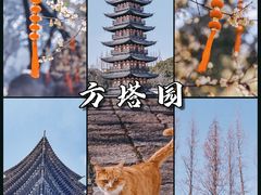 -上海方塔园