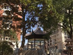 -长沙市青少年宫