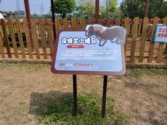 -王借岗森林公园