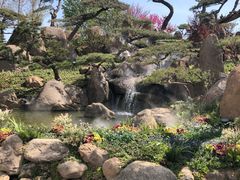 -罗红摄影艺术馆