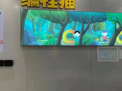-编程猫·少儿编程(绿宝校区)
