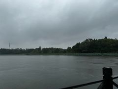 -溱湖国家湿地公园