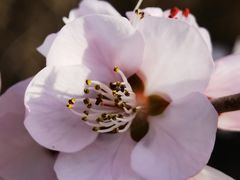 -鹫峰国家森林公园