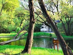 -上海共青森林公园