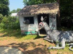 -香炉山国家森林公园