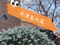 -天津五大道文化旅游区