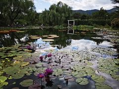 -国家植物园南园