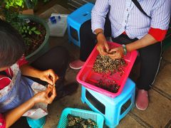 -双喜农庄·菌香园(安居家园店)