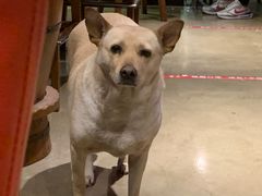 -Cactus墨西哥仙人掌餐厅