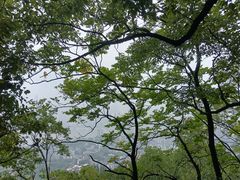 -道教老君洞