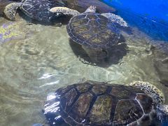 -石林冰雪海洋世界