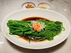 -初蓉丨遇见新川菜(亲贤街荣耀店)