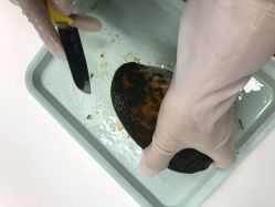 -邵老师打金·黄金加工(大望路总店)