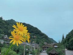 -汉丽轩韩式自助烤肉十二年(SM广场店)