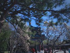 -颐和园
