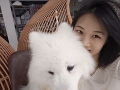-星多哈·狗咖·拼豆·咖啡