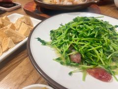 鸡油腊味炒豆苗-潮界(虹桥新天地店)