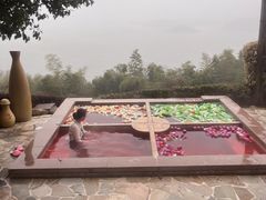 -天目湖涵田半山温泉