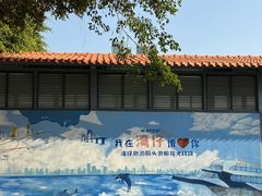 -澳门环岛游湾仔码头