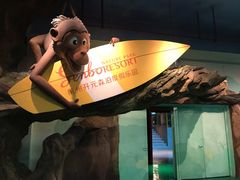 -杭州开元森泊度假乐园