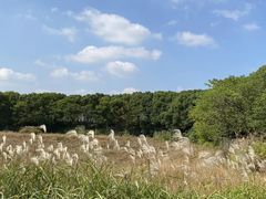 -良渚古城遗址公园