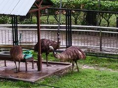 -吉隆坡雀鸟公园