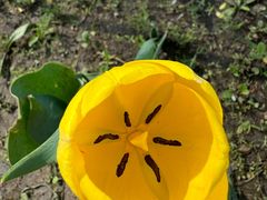 -长春公园(普阳街道)