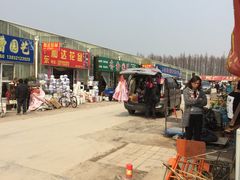 -龙大花卉苗木市场