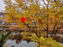 -海兰云天度假区温泉