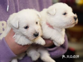 家里的宝贝迎来他的妹妹咯