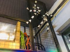 -MOJO密室逃脱(中街旗舰店)