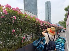 -北外滩滨江绿地