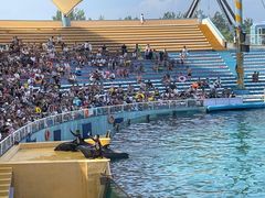 -秦皇岛乐岛海洋王国